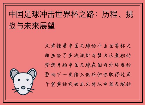 中国足球冲击世界杯之路：历程、挑战与未来展望